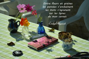 fleurs et graines